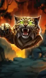 Wildcat Fury